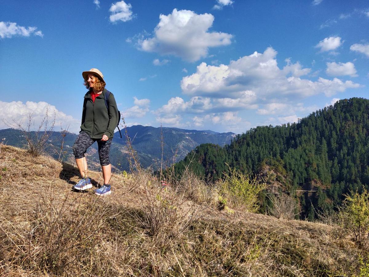 Neha Homestay Shimla Exterior foto